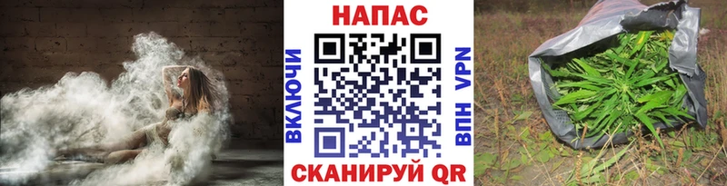 Конопля конопля  Балахна 